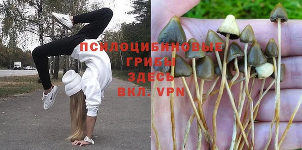 винт Лагань