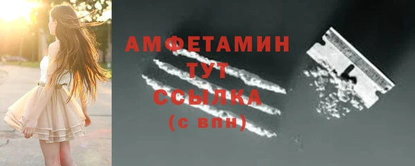 винт Лагань