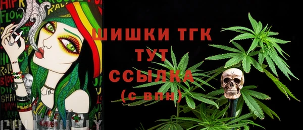 винт Лагань