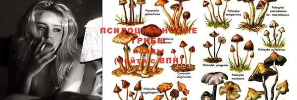 кристаллы Ладушкин