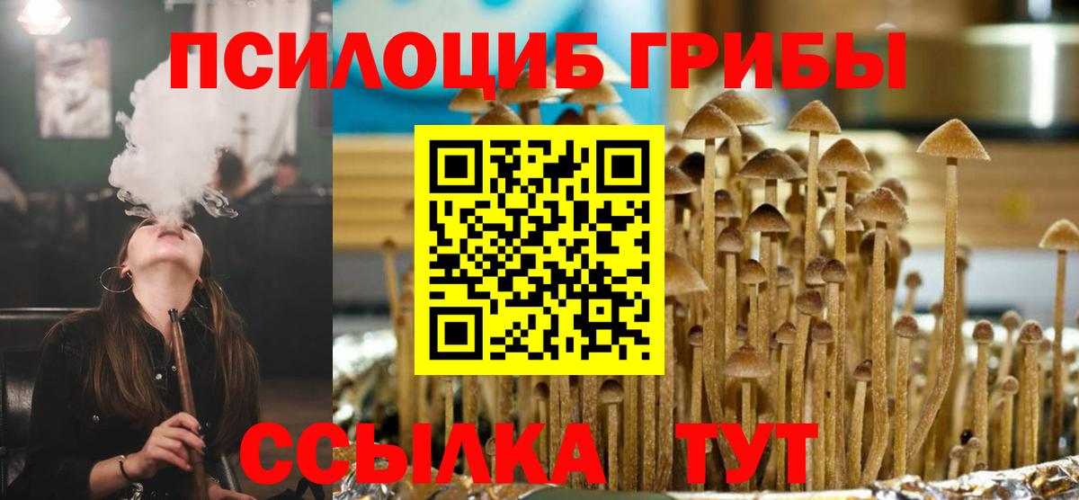 Мыски  Псилоцибиновые грибы MAGIC MUSHROOMS  Вход с VPN 