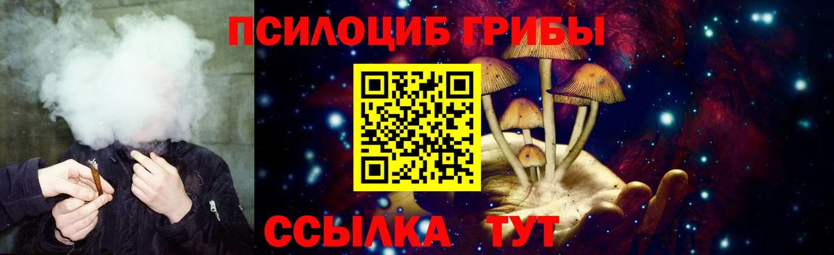 Галлюциногенные грибы Psilocybe Мыски